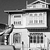 Mudanya Mütarekesi